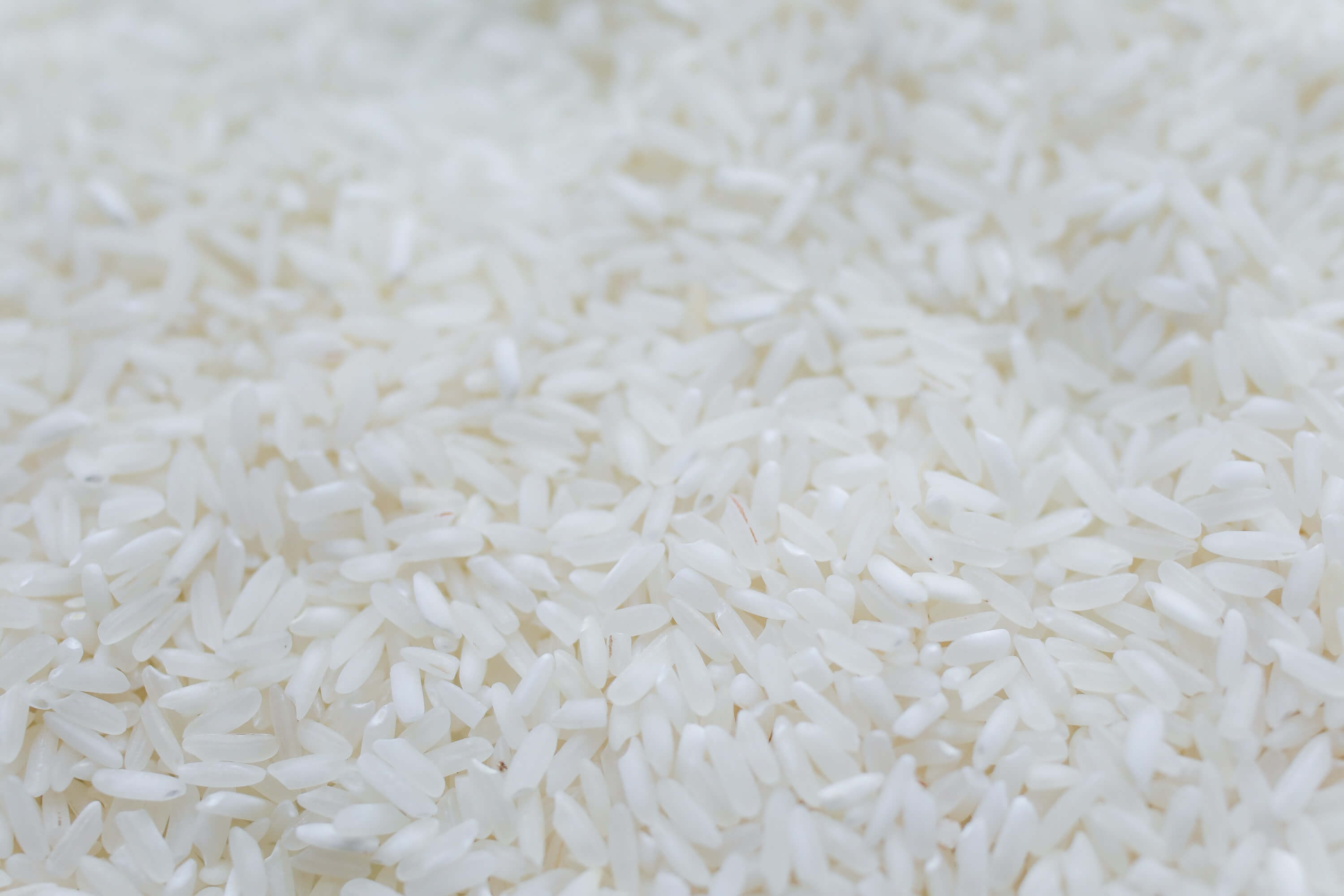 Rice Varieties Around the World: A Guide to Different Types of Rice